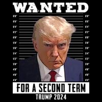 Wanted For A Second Term Trump 2024 Mugshot Stripe Pom Pom Beanie