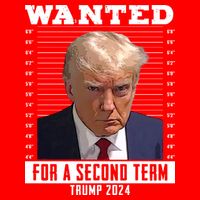 Wanted For A Second Term Trump 2024 Mugshot T-Shirt