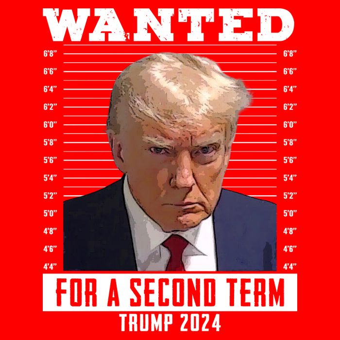 Wanted For A Second Term Trump 2024 Mugshot Baby Bodysuit