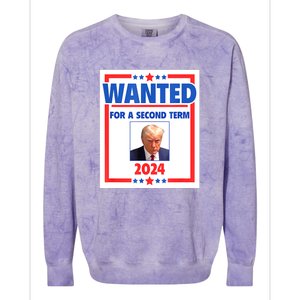 Wanted For A Second Term 2024 Trumps Mugshot President Gift Colorblast Crewneck Sweatshirt