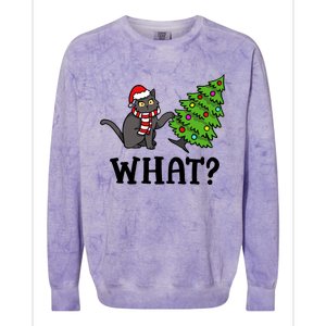 What Funny Black Cat Santa Pushing Christmas Tree Cat Lover Colorblast Crewneck Sweatshirt