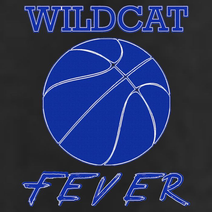 Wildcat Fever Basketball Wildcats Adult Drive Performance Visor