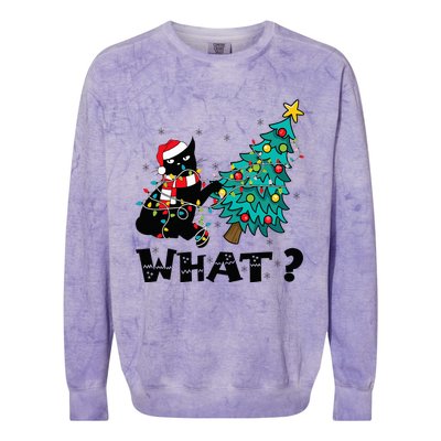 WHAT Funny Black Cat Santa Pushing Christmas Tree Cat Lover Colorblast Crewneck Sweatshirt