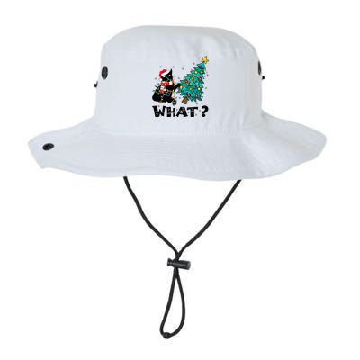 WHAT Funny Black Cat Santa Pushing Christmas Tree Cat Lover Legacy Cool Fit Booney Bucket Hat