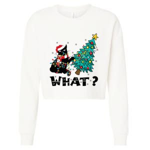 WHAT Funny Black Cat Santa Pushing Christmas Tree Cat Lover Cropped Pullover Crew