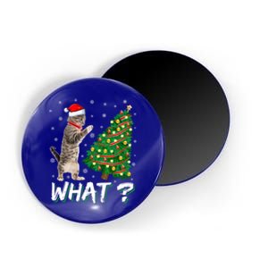 What Funny Cat Pushing Christmas Tree Over Cat Xmas Gift Magnet