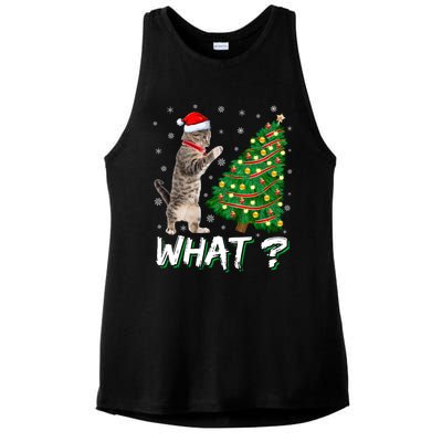 What Funny Cat Pushing Christmas Tree Over Cat Xmas Gift Ladies PosiCharge Tri-Blend Wicking Tank