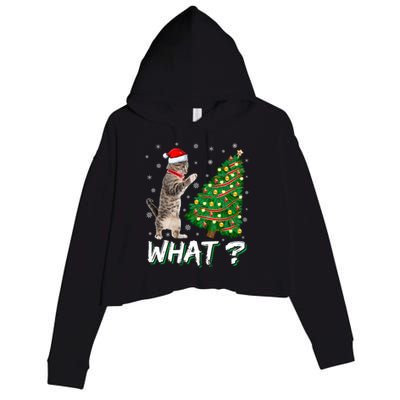 What Funny Cat Pushing Christmas Tree Over Cat Xmas Gift Crop Fleece Hoodie