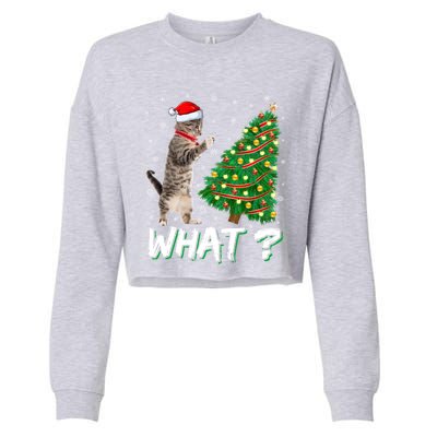 What Funny Cat Pushing Christmas Tree Over Cat Xmas Gift Cropped Pullover Crew