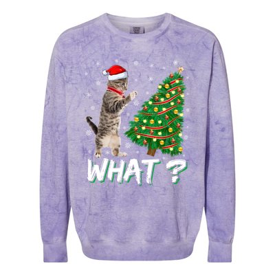 What Funny Cat Pushing Christmas Tree Over Cat Xmas Cool Gift Colorblast Crewneck Sweatshirt