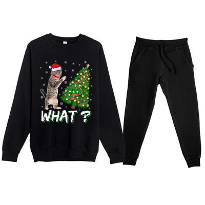 What Funny Cat Pushing Christmas Tree Over Cat Xmas Cool Gift Premium Crewneck Sweatsuit Set