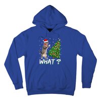 What Funny Cat Pushing Christmas Tree Over Cat Xmas Cool Gift Hoodie