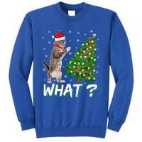 What Funny Cat Pushing Christmas Tree Over Cat Xmas Cool Gift Sweatshirt