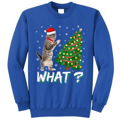 What Funny Cat Pushing Christmas Tree Over Cat Xmas Cool Gift Tall Sweatshirt