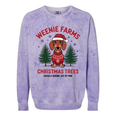 Weenie Farms Dachshund Christmas Trees Wiener Dog Great Gift Colorblast Crewneck Sweatshirt