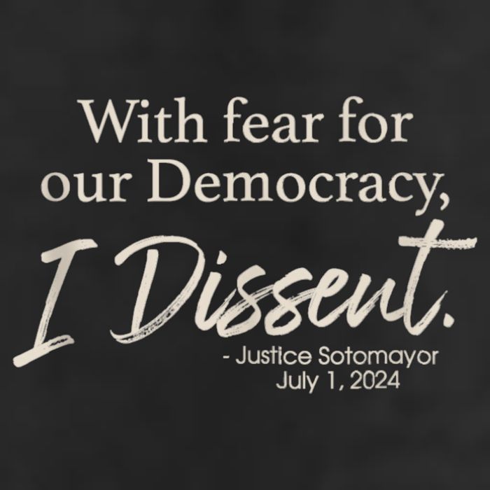 With Fear For Our Democracy I Dissent Justice Sotomayor 15oz Campfire Ceramic Mug