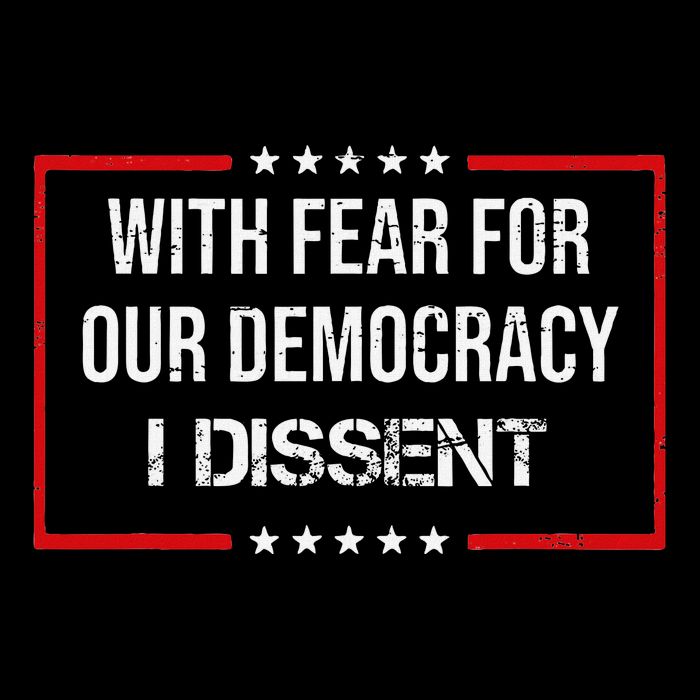 With Fear For Our Democracy I Dissent Funny Immunity Quote 7-Panel Snapback Hat