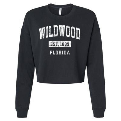 Wildwood Florida Fl Vintage Sports Established Cropped Pullover Crew