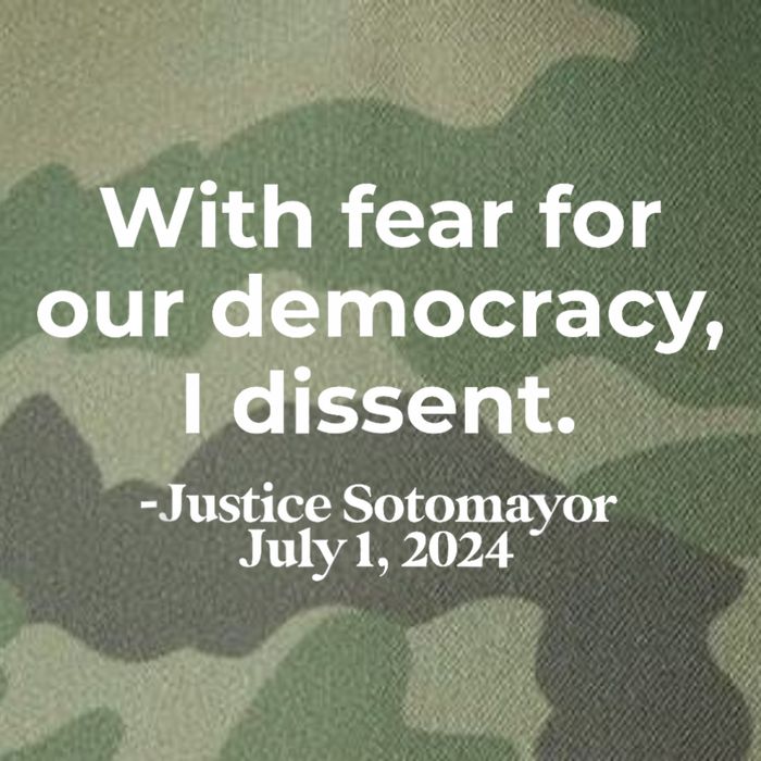 With Fear For Our Democracy I Dissent Legacy Tie Dye Trucker Hat