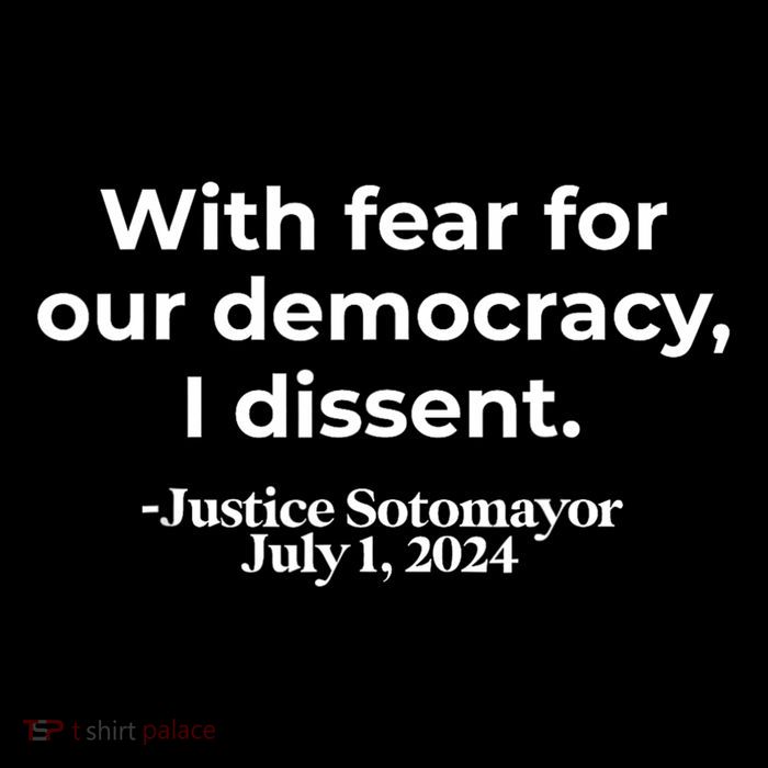 With Fear For Our Democracy I Dissent Tall T-Shirt