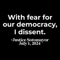 With Fear For Our Democracy I Dissent 16 in Basic Backpack