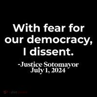With Fear For Our Democracy I Dissent Poster