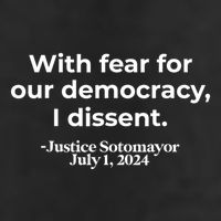 With Fear For Our Democracy I Dissent Microfiber Hand Towel