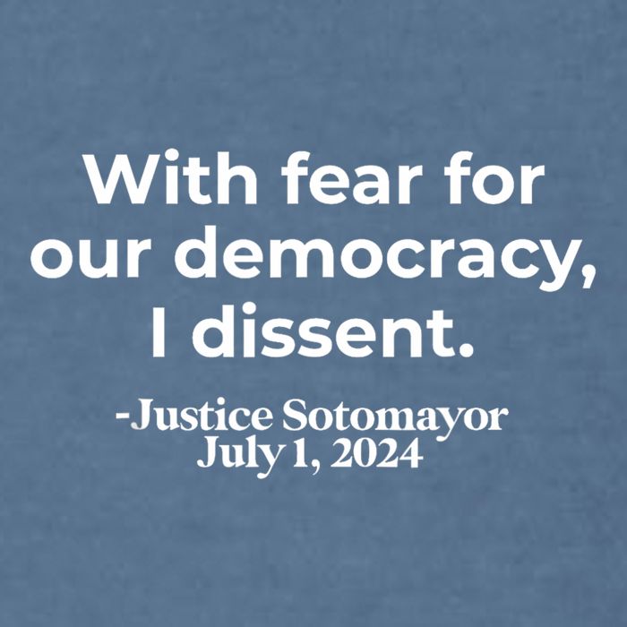 With Fear For Our Democracy I Dissent Garment-Dyed Sweatshirt