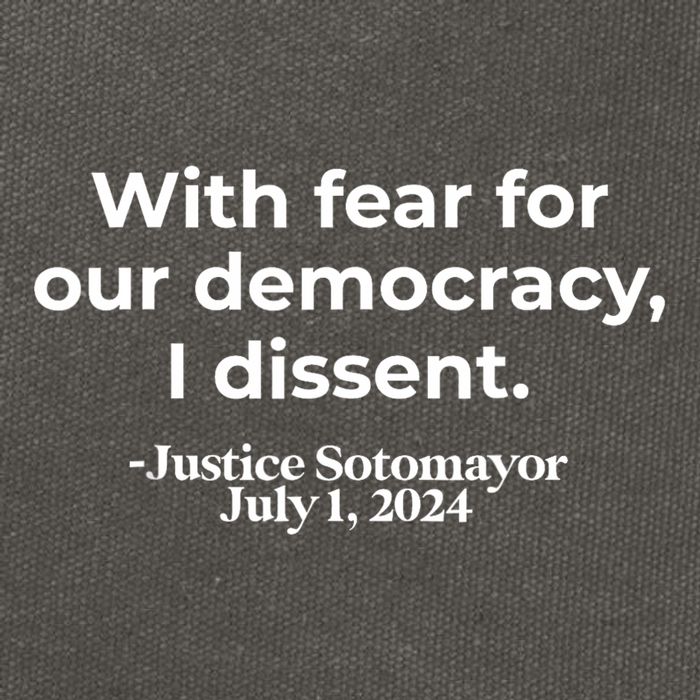 With Fear For Our Democracy I Dissent Cotton Canvas Backpack