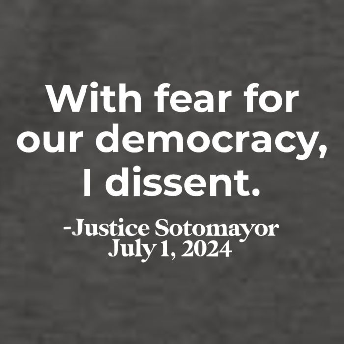 With Fear For Our Democracy I Dissent Vector Backpack