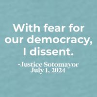 With Fear For Our Democracy I Dissent Sueded Cloud Jersey T-Shirt