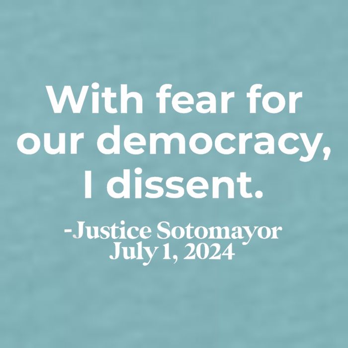 With Fear For Our Democracy I Dissent Sueded Cloud Jersey T-Shirt