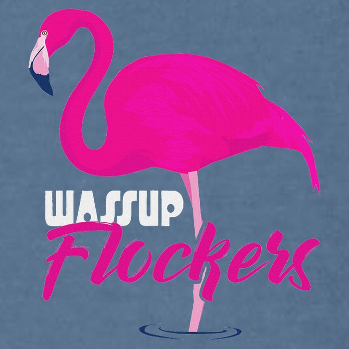 Wassup Flockers Funny Flamingo Garment-Dyed Sweatshirt