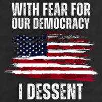 With Fear For Our Democracy I Dissent Usa Distressed Flag Garment-Dyed Fleece Hoodie