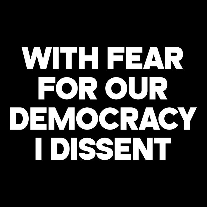 With Fear For Our Democracy I Dissent Backpack