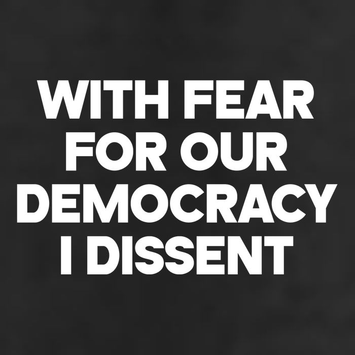 With Fear For Our Democracy I Dissent Hat