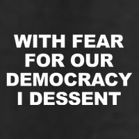 With Fear For Our Democracy I Dessent Large Microfiber Waffle Golf Towel