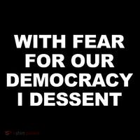 With Fear For Our Democracy I Dessent Poster