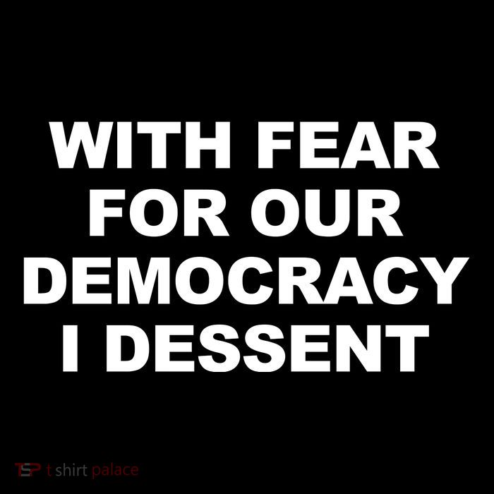 With Fear For Our Democracy I Dessent Premium T-Shirt