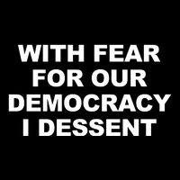 With Fear For Our Democracy I Dessent Wool Snapback Cap