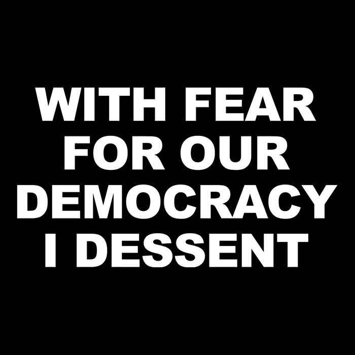 With Fear For Our Democracy I Dessent Wool Snapback Cap