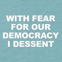 With Fear For Our Democracy I Dessent Sueded Cloud Jersey T-Shirt