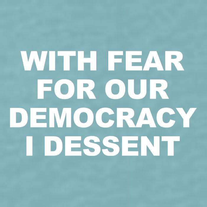 With Fear For Our Democracy I Dessent Sueded Cloud Jersey T-Shirt