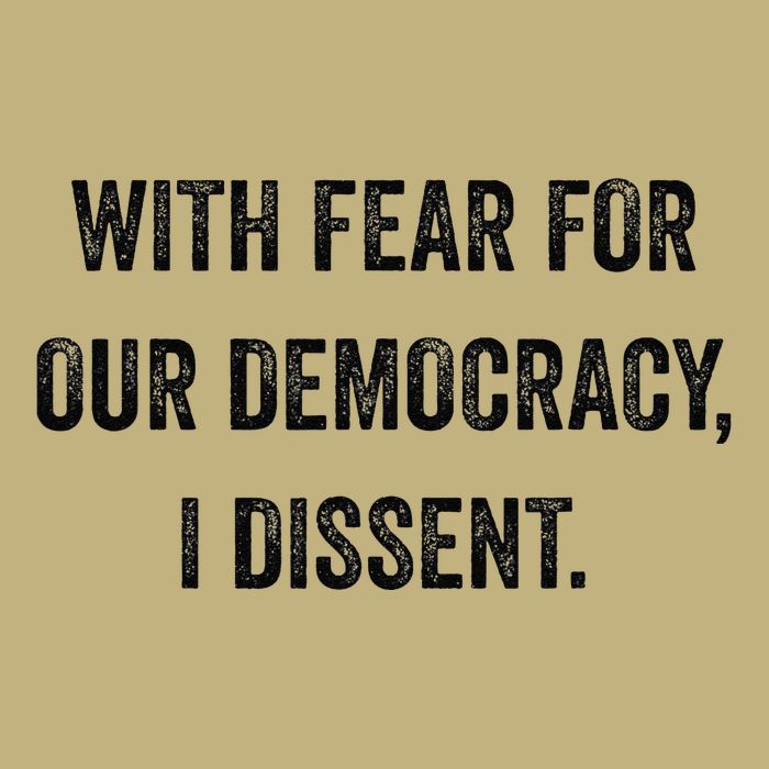 With Fear For Our Democracy I Dissent Mousepad