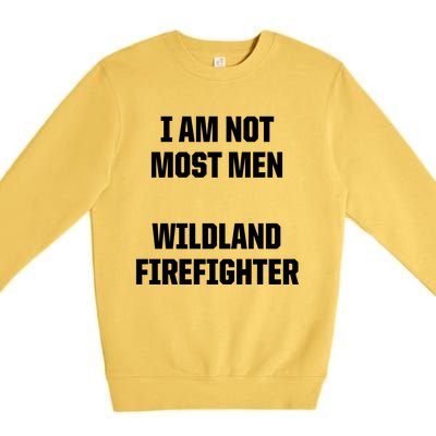 Wildland Firefighter Firefighting Fire Funny Gift Premium Crewneck Sweatshirt