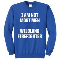 Wildland Firefighter Firefighting Fire Funny Gift Sweatshirt