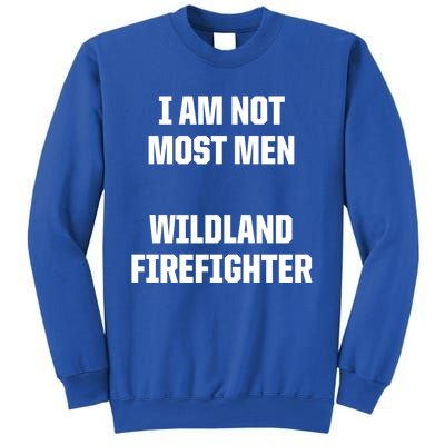 Wildland Firefighter Firefighting Fire Funny Gift Sweatshirt