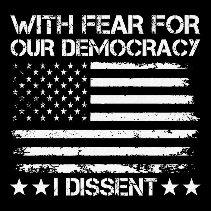 With Fear For Our Democracy I Dissent Presidential Immunity Premium Wool Snapback Cap