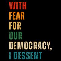 With Fear For Our Democracy I Dissent Vintage Flatbill Hat