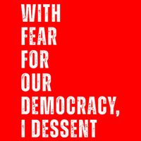 With Fear For Our Democracy I Dissent Quote Flatbill Hat